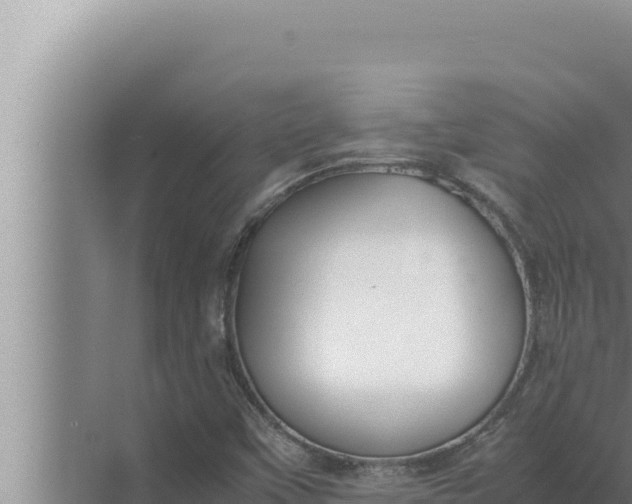 X0000072501451200607290053