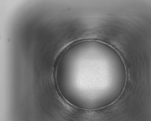 X0000072501452200607290053