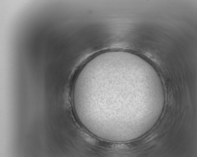 X0000072501454200607290053