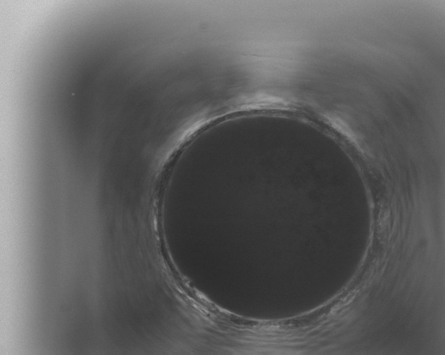 X0000072501455200607290053