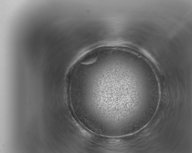 X0000072501456200607290053