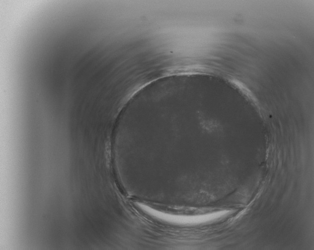 X0000072501457200607290053