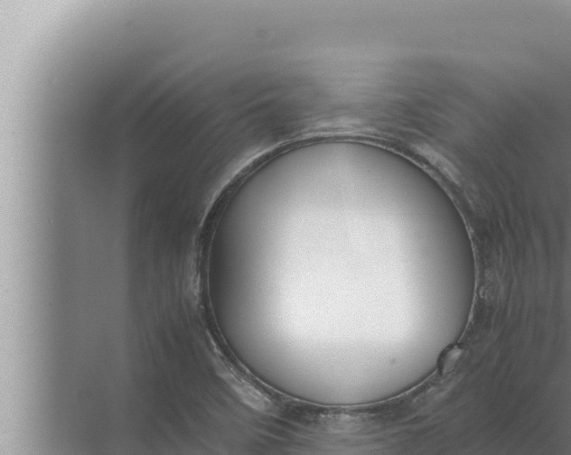 X0000072501458200607290053