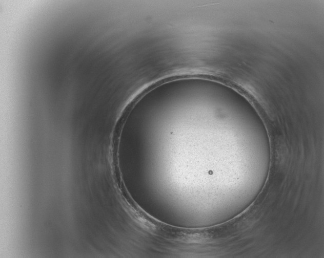 X0000072501460200607290053