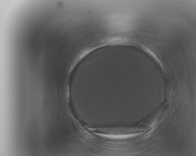 X0000072501461200607290053