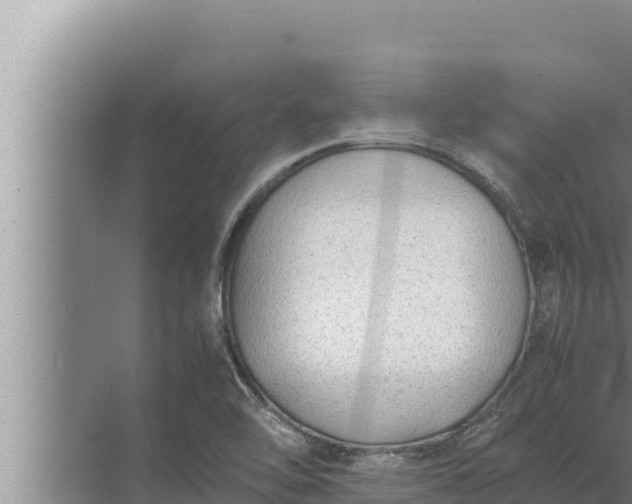 X0000072501462200607290053