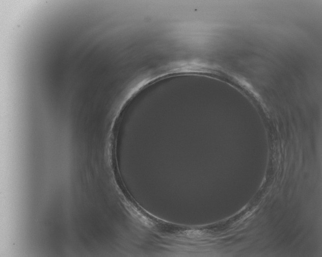 X0000072501463200607290053