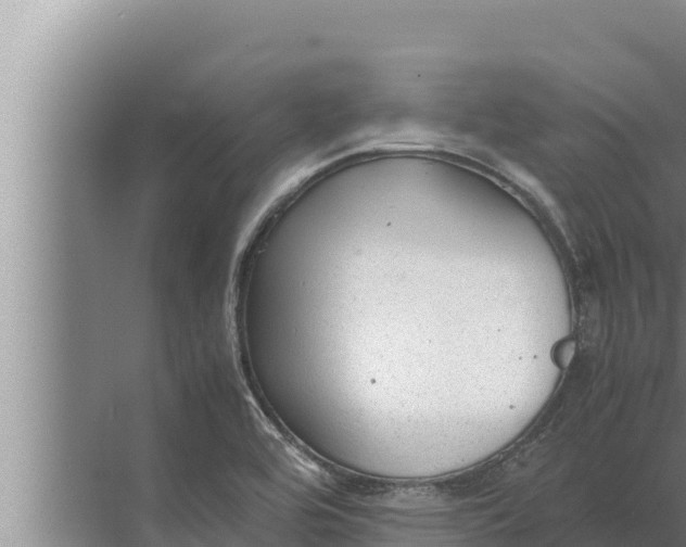 X0000072501464200607290053