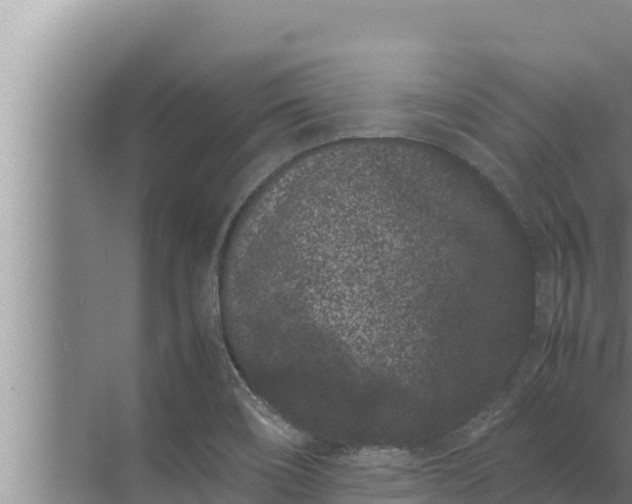 X0000072501466200607290053