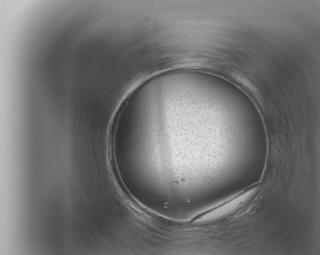 X0000072501467200607290053