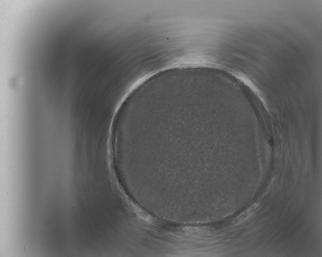 X0000072501469200607290053