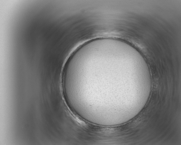 X0000072501470200607290053