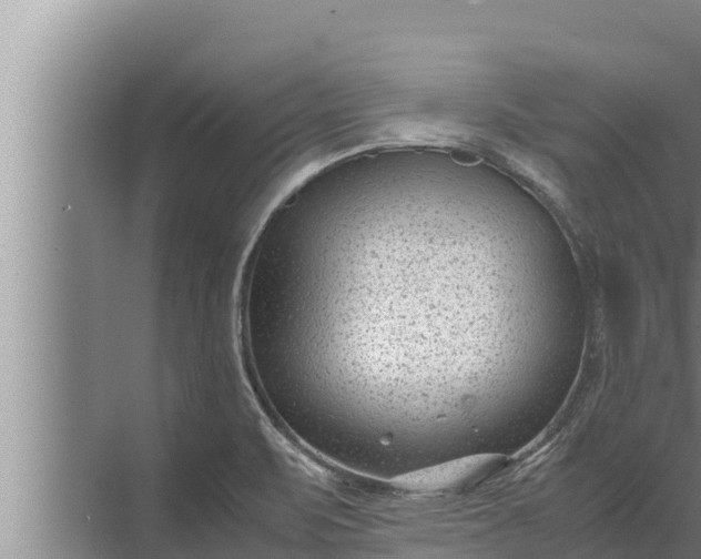 X0000072501471200607290053