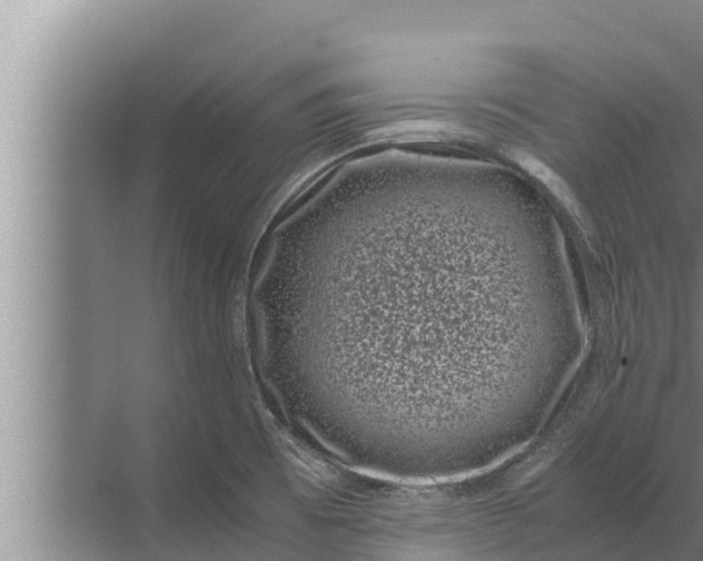 X0000072501473200607290053