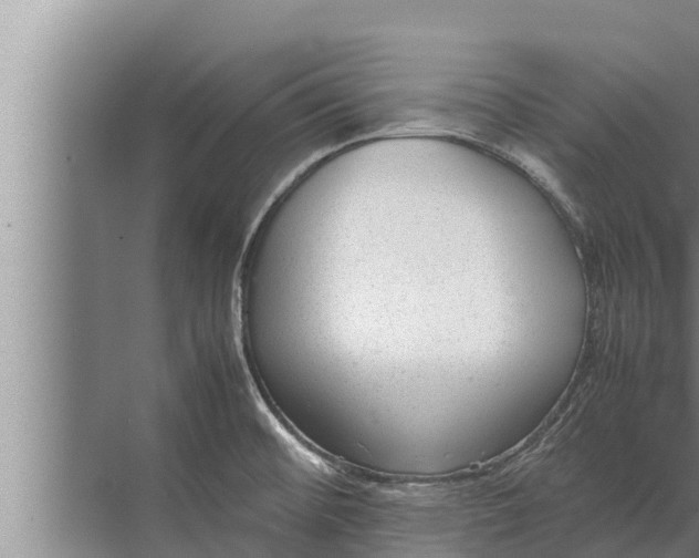 X0000072501476200607290053