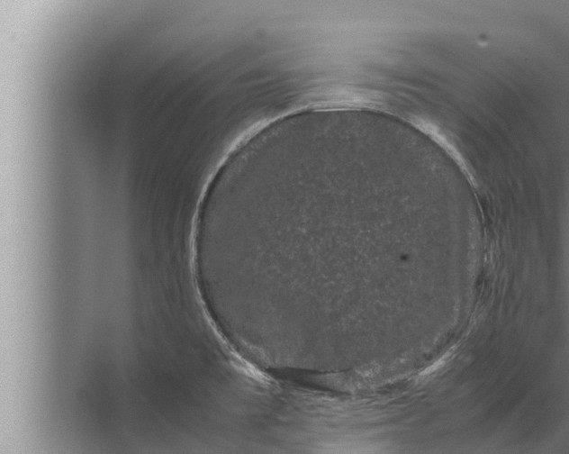 X0000072501477200607290053