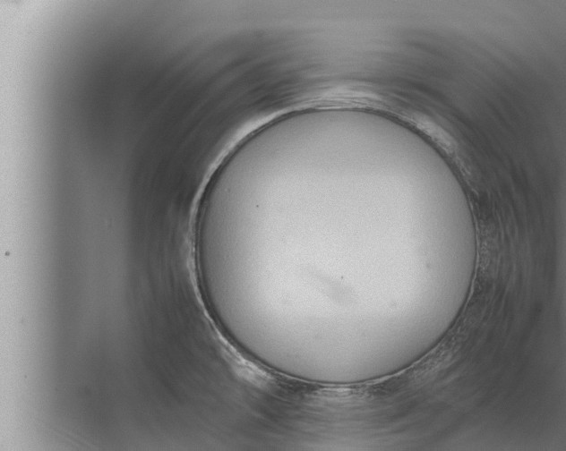 X0000072501478200607290053