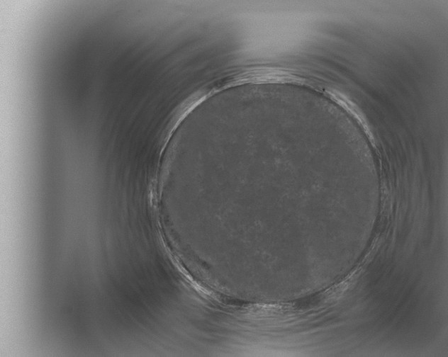 X0000072501481200607290053