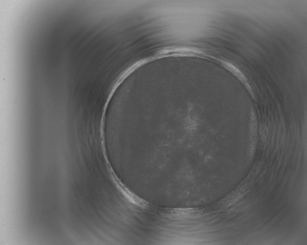 X0000072501482200607290053