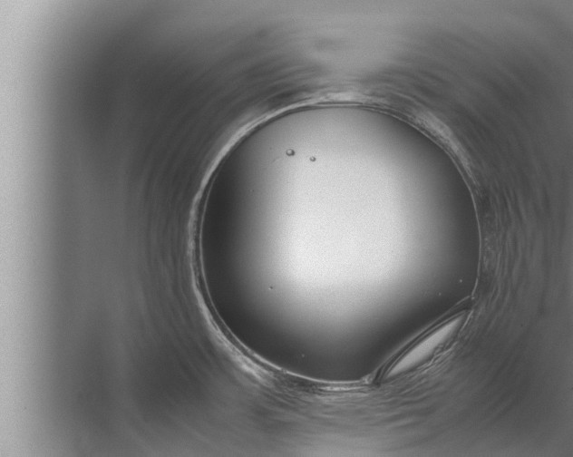 X0000072501483200607290053