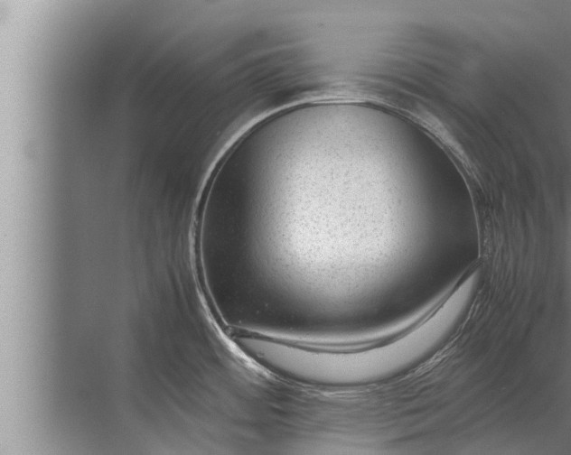 X0000072501484200607290053