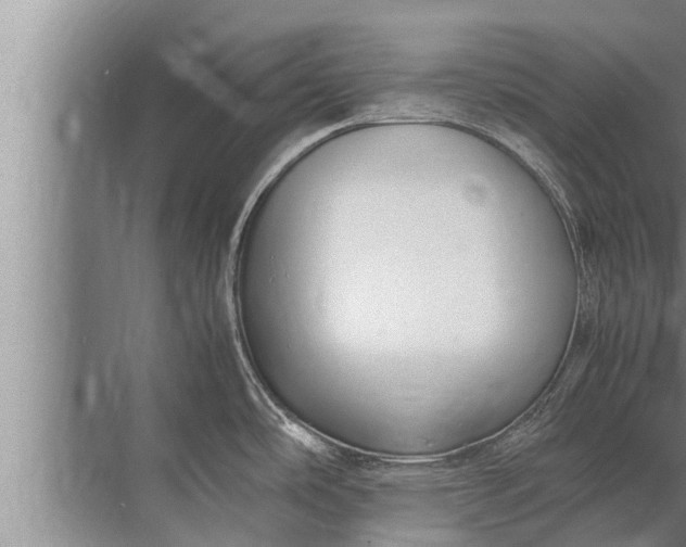 X0000072501486200607290052