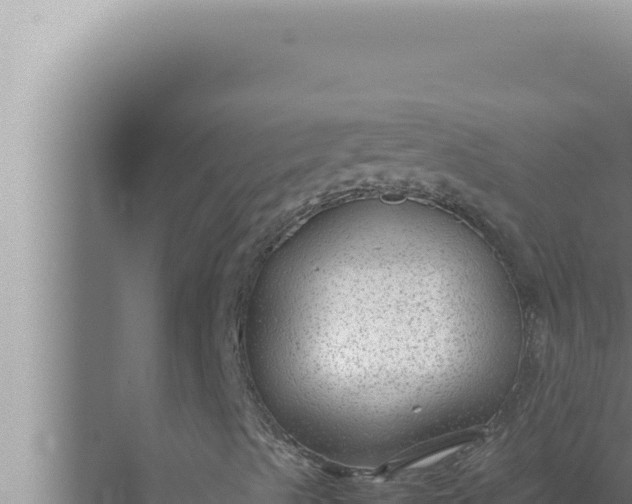 X0000072501489200607290052