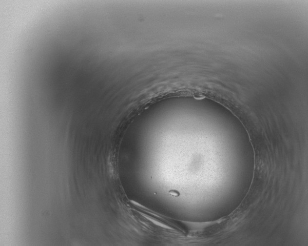 X0000072501490200607290052