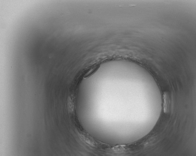 X0000072501491200607290052