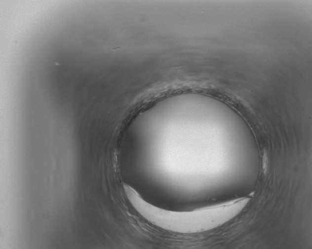 X0000072501492200607290052