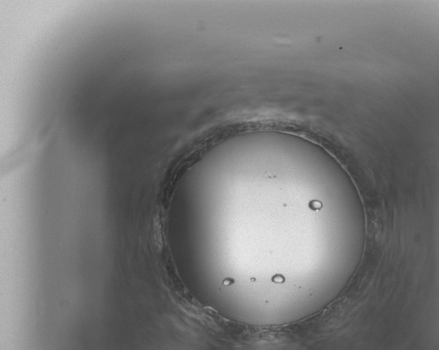 X0000072501493200607290052