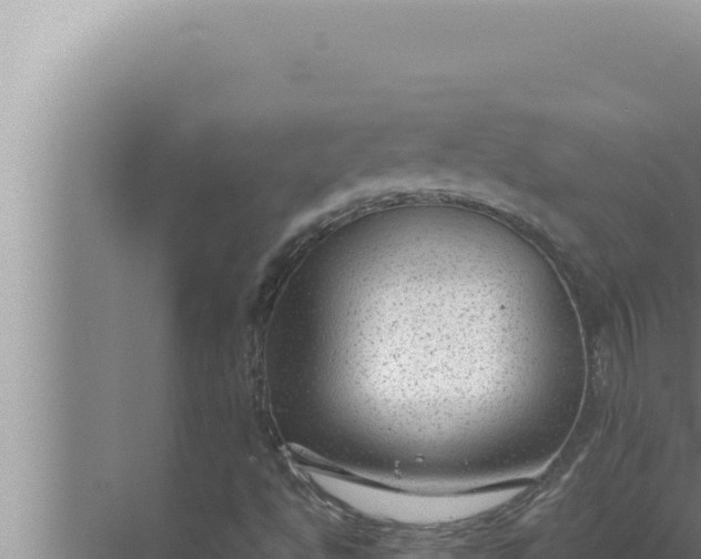 X0000072501494200607290052