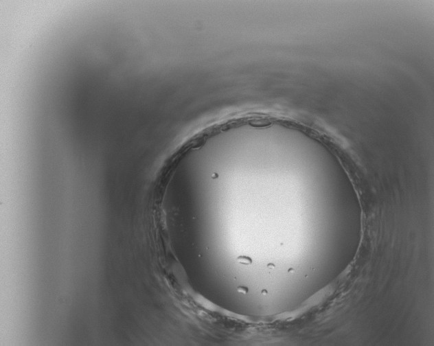 X0000072501496200607290052