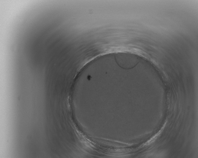 X0000072501497200607290052