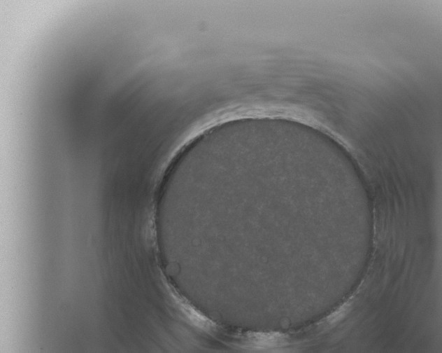 X0000072501498200607290052