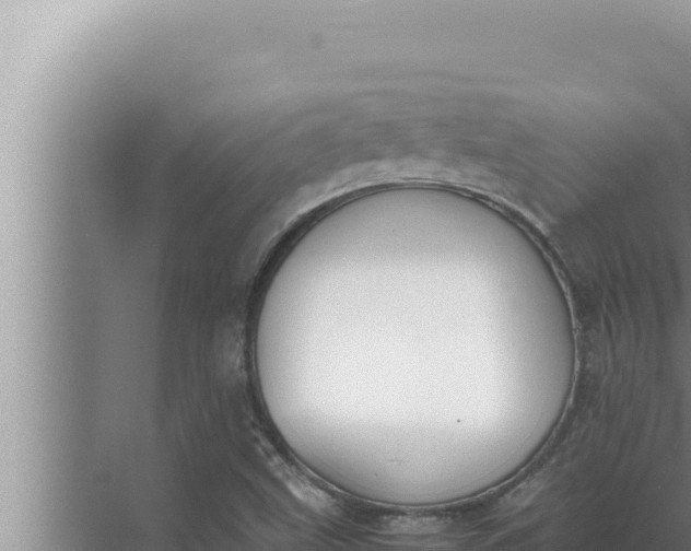 X0000072501499200607290052