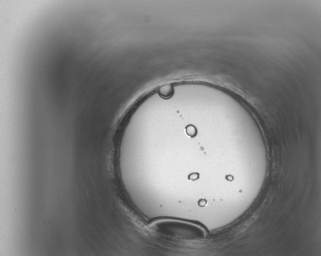 X0000072501502200607290052