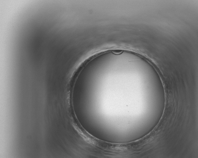 X0000072501503200607290052