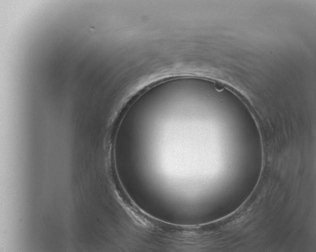 X0000072501507200607290052