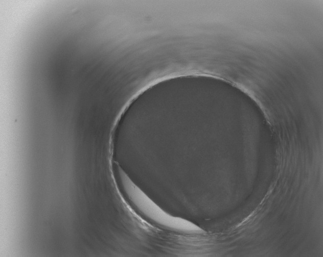 X0000072501508200607290052