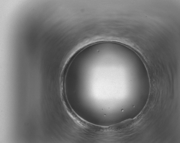 X0000072501511200607290052