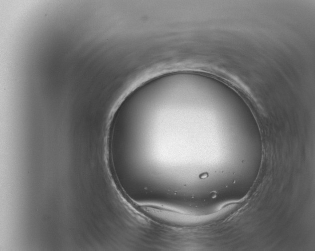 X0000072501512200607290052