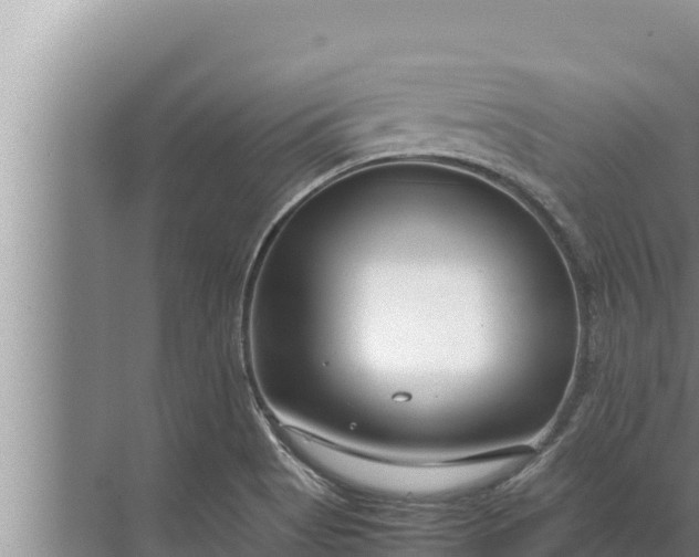 X0000072501513200607290052