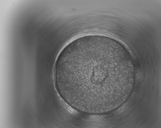 X0000072501514200607290052