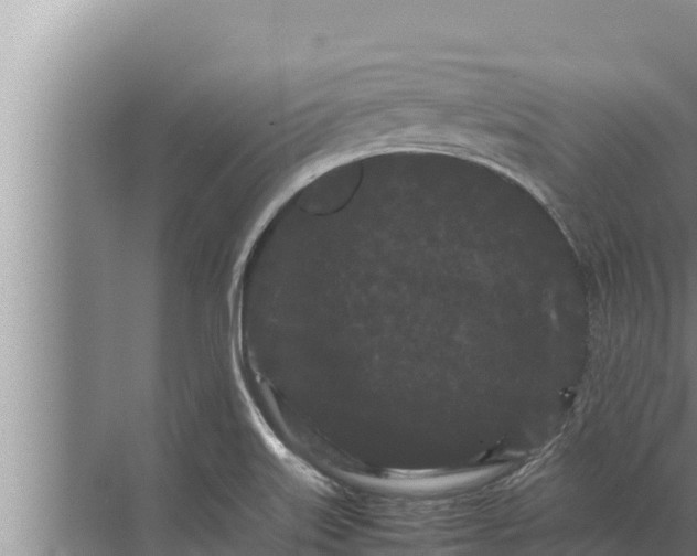 X0000072501515200607290052