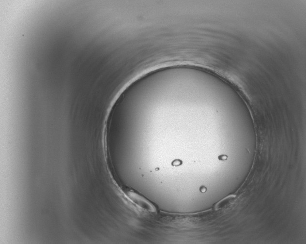 X0000072501516200607290052