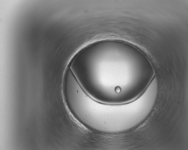 X0000072501518200607290052