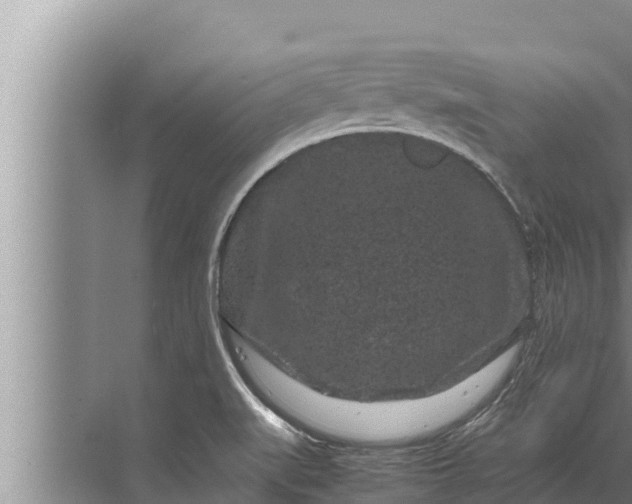 X0000072501519200607290052