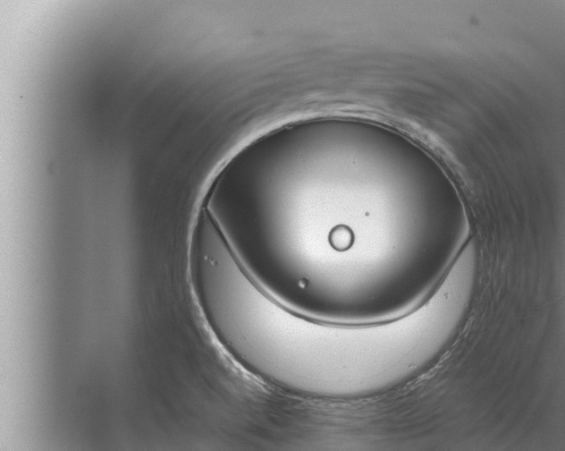 X0000072501520200607290052