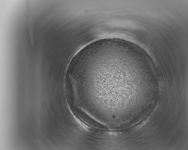 X0000072501521200607290052